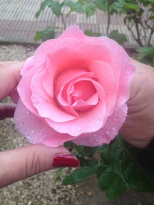 IMG_2160 - copia - copia - copia - copia - copia - copia - copia - copia - copia (2) - copia